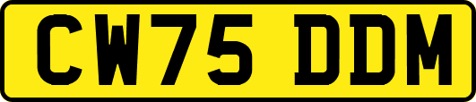 CW75DDM