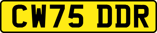 CW75DDR