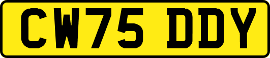 CW75DDY