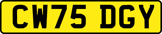 CW75DGY