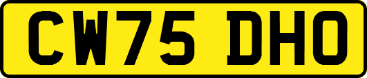 CW75DHO