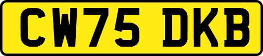CW75DKB