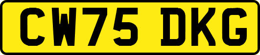 CW75DKG