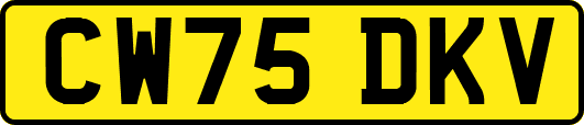 CW75DKV