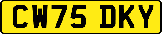 CW75DKY