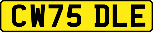 CW75DLE