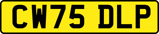 CW75DLP