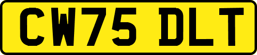 CW75DLT