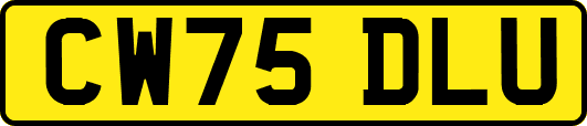 CW75DLU