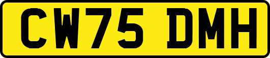 CW75DMH
