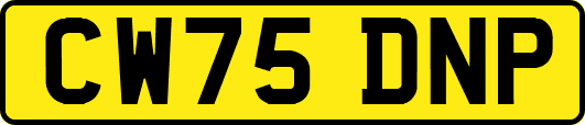 CW75DNP