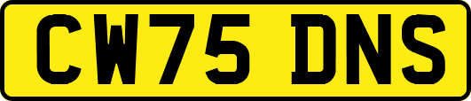 CW75DNS