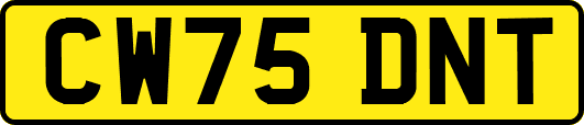 CW75DNT