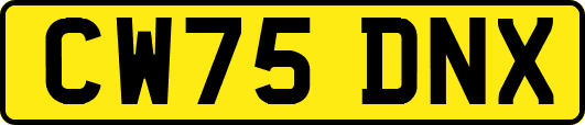 CW75DNX