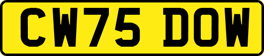 CW75DOW