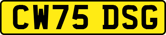 CW75DSG