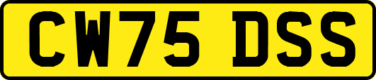 CW75DSS