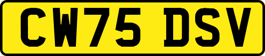 CW75DSV
