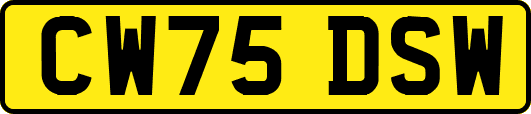CW75DSW