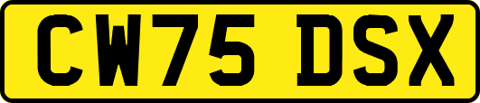 CW75DSX