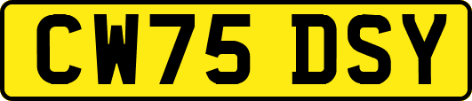 CW75DSY