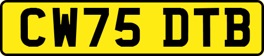 CW75DTB