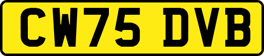 CW75DVB