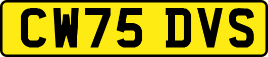 CW75DVS