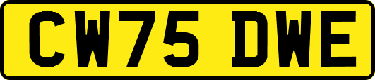 CW75DWE