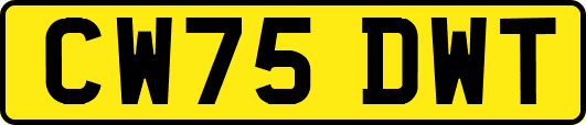 CW75DWT