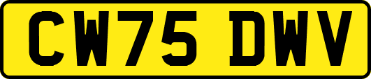CW75DWV
