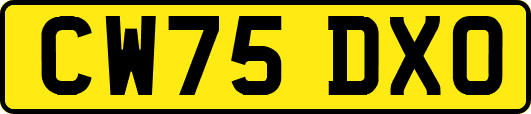 CW75DXO