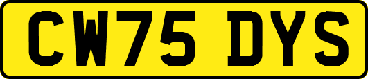 CW75DYS