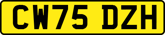 CW75DZH