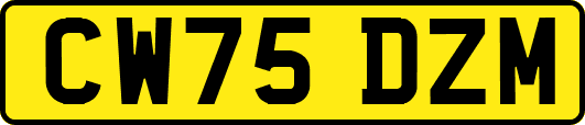 CW75DZM