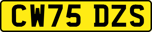 CW75DZS