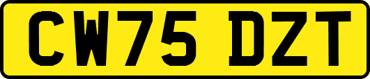 CW75DZT