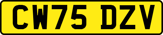 CW75DZV