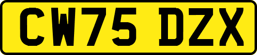 CW75DZX