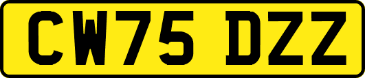 CW75DZZ