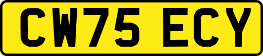 CW75ECY