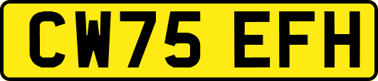 CW75EFH