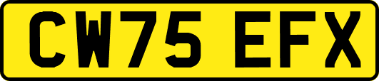 CW75EFX
