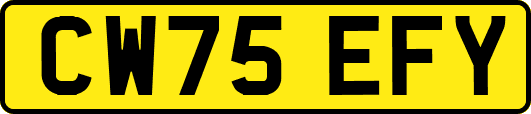 CW75EFY
