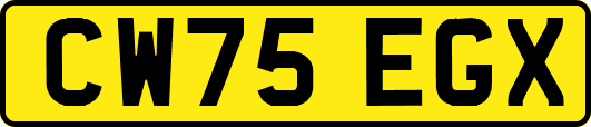 CW75EGX
