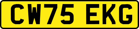 CW75EKG