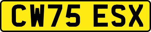 CW75ESX