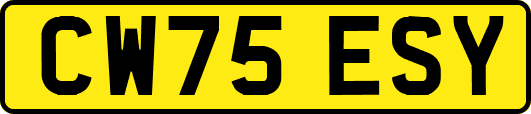 CW75ESY