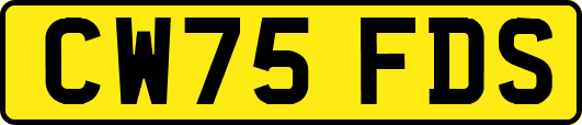 CW75FDS
