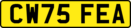 CW75FEA
